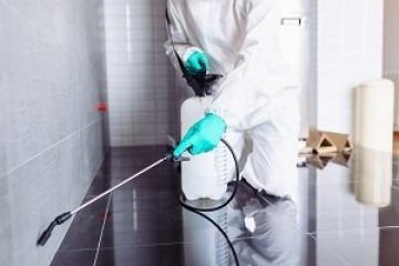 Image for Best Pest Control Technologies Used By Professionals