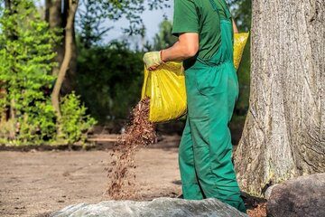 Image for Does Mulch In Your Yard Attract Termites?