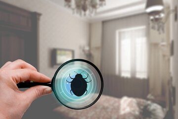 Image for Facts About Dogs & Bed Bug Inspections