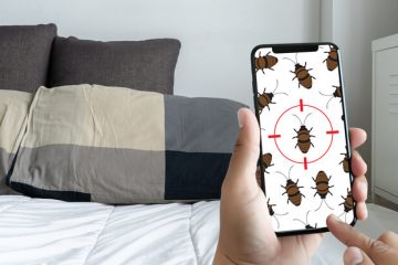 Image for Bug Bites Could Be Coming From Inside Your Home